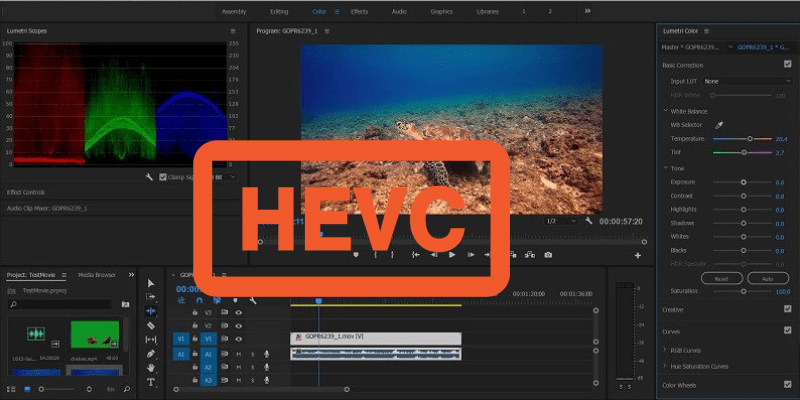 Как установить hevc на premiere pro