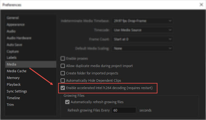 file formats supported by adobe premiere pro cs2